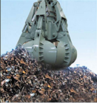 gau-ngoam-cac-loai-70